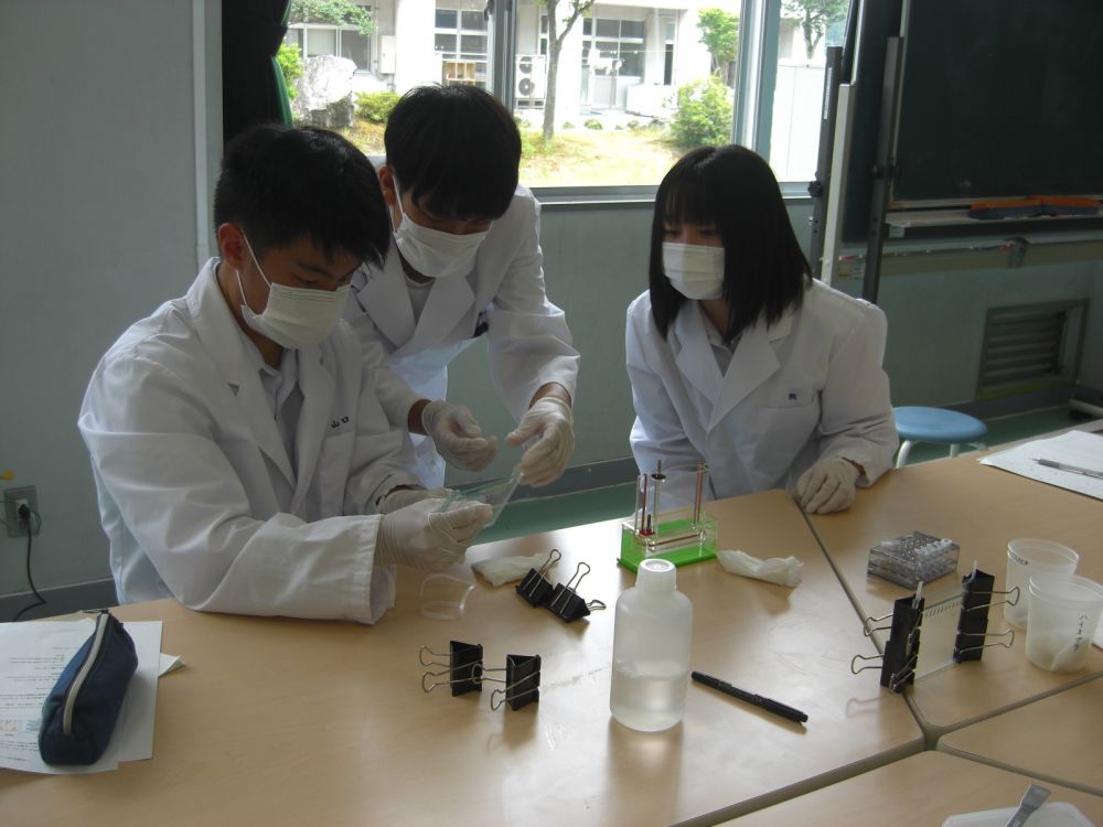 武生東高等学校 Hino・Quest(【2022年度1年生】産官学連携④サイエンス講座として,福井工業大学から教授を招いて,生物系・化学系の2講座で実験を行いました。)