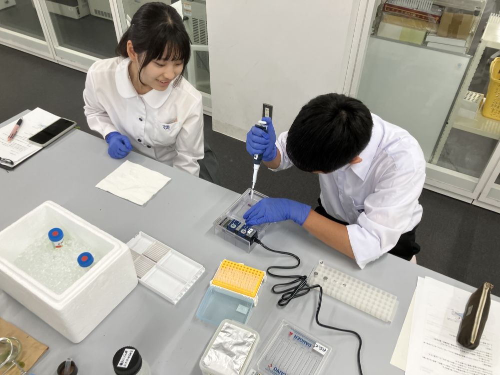 武生東高等学校　Hino・Quest（福井工業大学で生物系および化学系の実験を行いました）