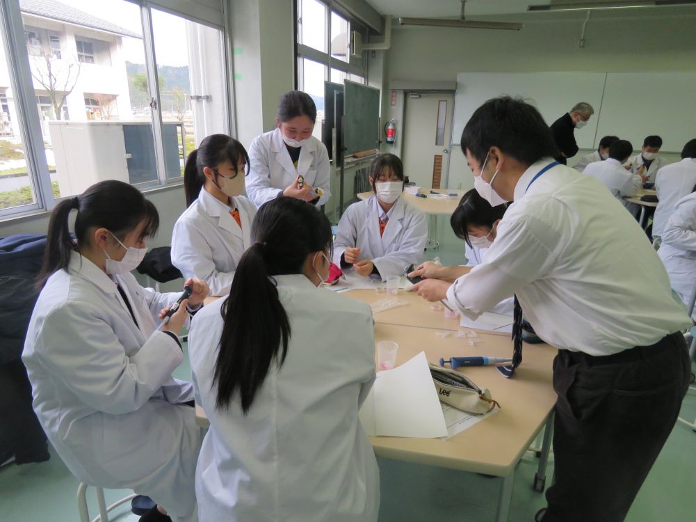 武生東高等学校 Hino・Quest(【2022年度1年生】産官学連携⑤サイエンス講座として,福井工業大学から教授と学生を招いて,生物系・化学系の2講座で実験を行いました。)