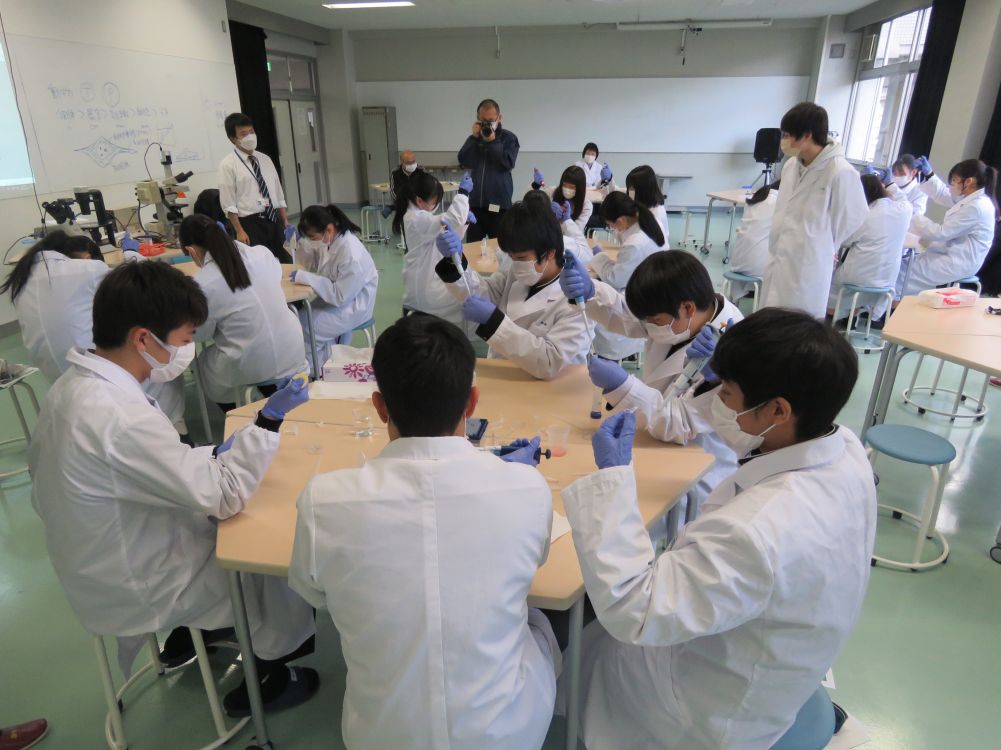 武生東高等学校 Hino・Quest(【2022年度1年生】産官学連携⑤サイエンス講座として,福井工業大学から教授と学生を招いて,生物系・化学系の2講座で実験を行いました。)