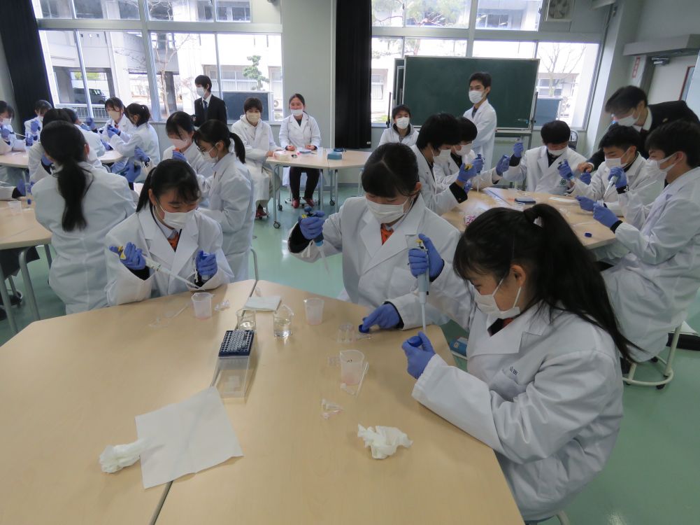 武生東高等学校 Hino・Quest(【2022年度1年生】産官学連携⑤サイエンス講座として,福井工業大学から教授と学生を招いて,生物系・化学系の2講座で実験を行いました。)